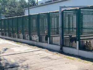 Auf Tour – Spendenfahrt