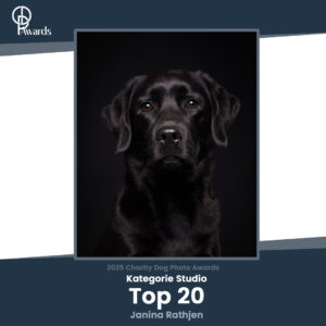 Fotografie und Tierschutz