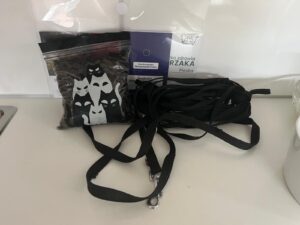 HINAUS IN DIE WELT…