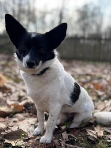 Malee – Kleine Maus im Glück